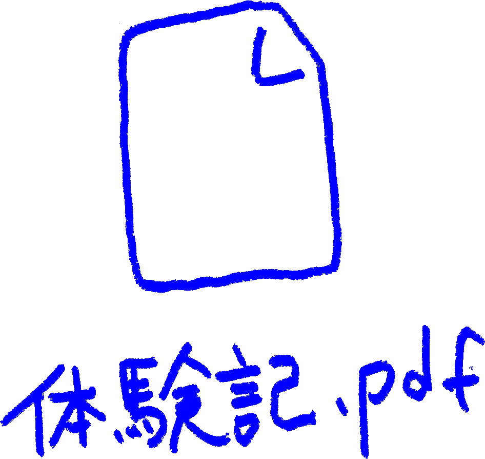 体験記.pdf